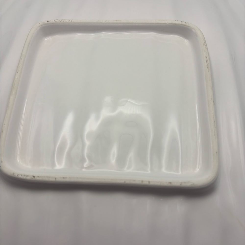 White Asparagus Ceramic Tray/Plate - Picture 9 of 10